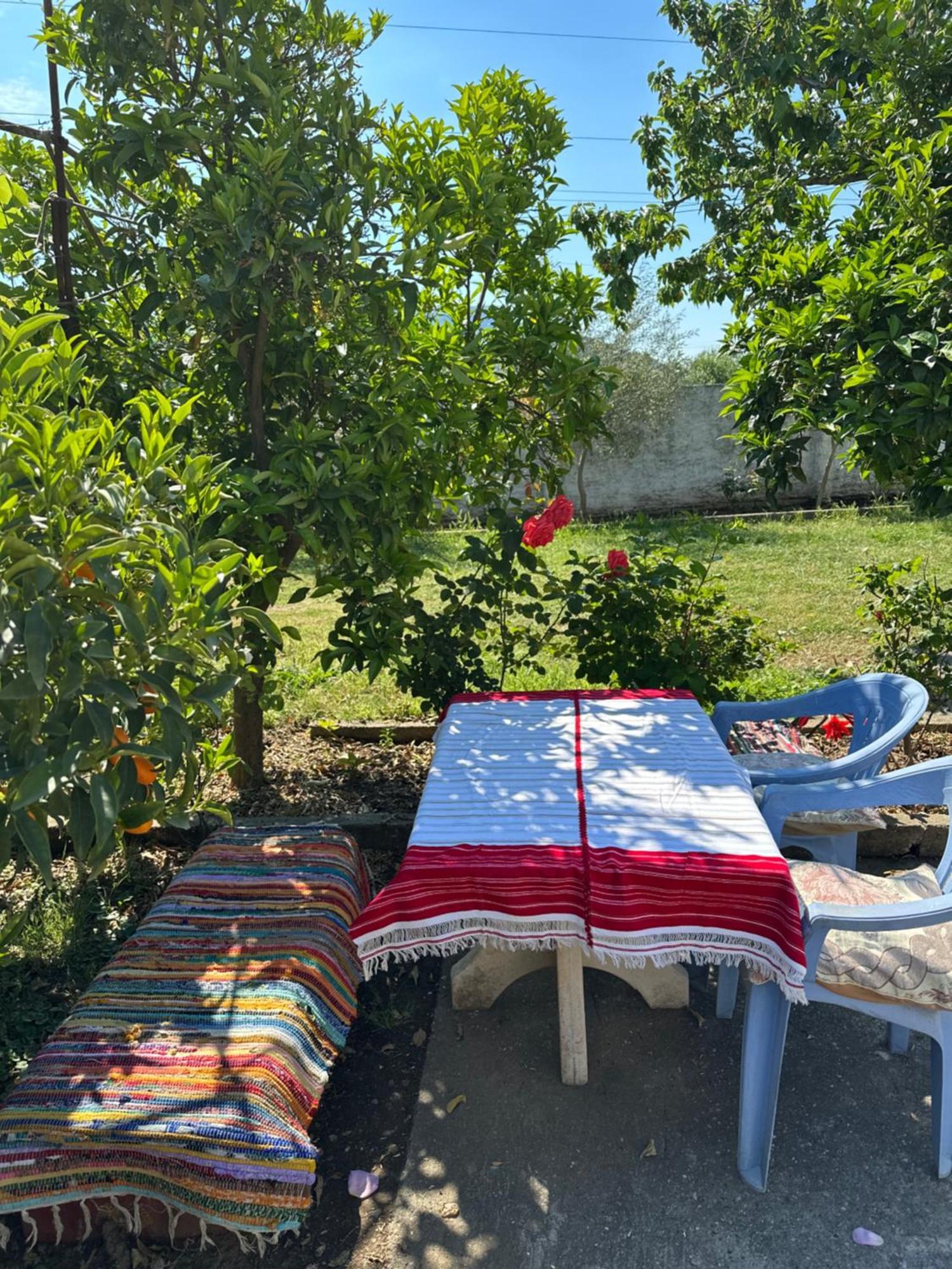 Villa Zefi Rrenc Shkodër 외부 사진